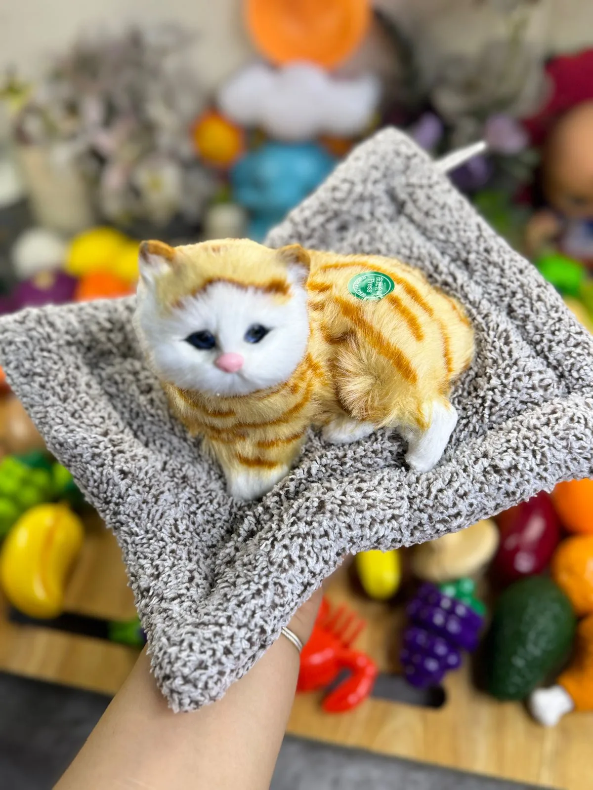 Cute Plush Cat
